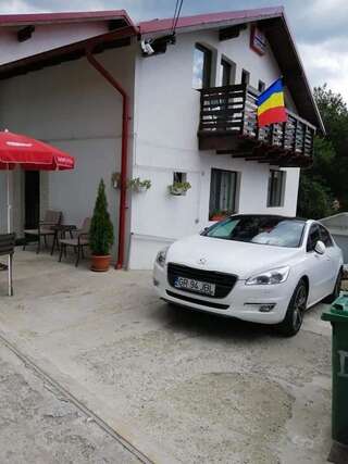 Фермерские дома Vila Darian Буштени-5