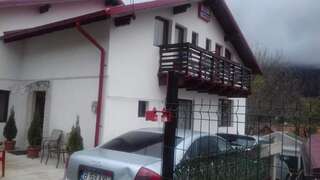 Фермерские дома Vila Darian Буштени-6