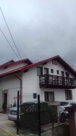 Фермерские дома Vila Darian Буштени-7